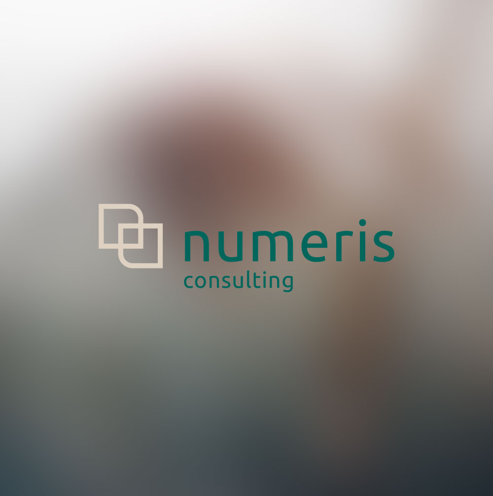 Numeris Consulting